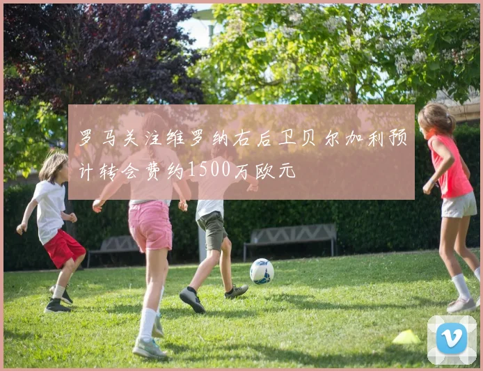 罗马关注维罗纳右后卫贝尔加利预计转会费约1500万欧元