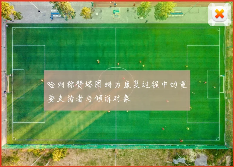 哈利称赞塔图姆为康复过程中的重要支持者与倾诉对象