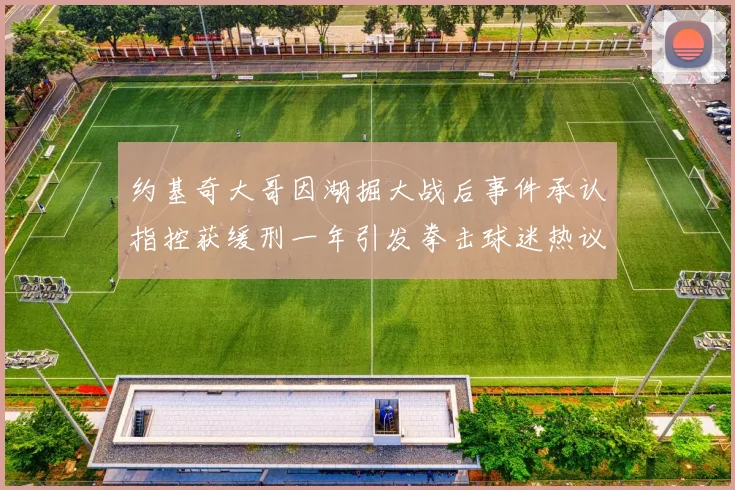 约基奇大哥因湖掘大战后事件承认指控获缓刑一年引发拳击球迷热议