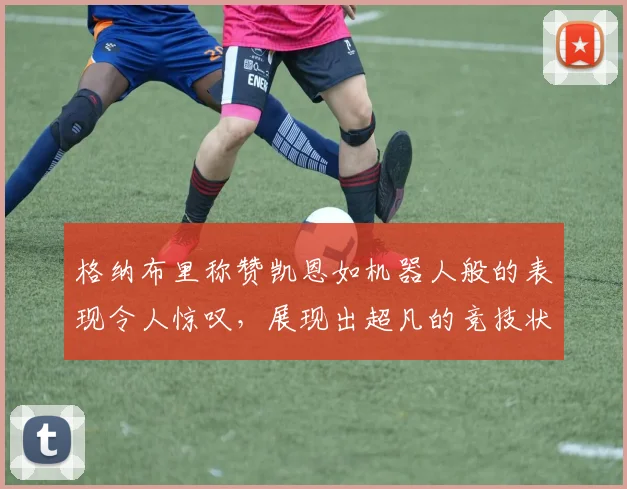 格纳布里称赞凯恩如机器人般的表现令人惊叹，展现出超凡的竞技状态